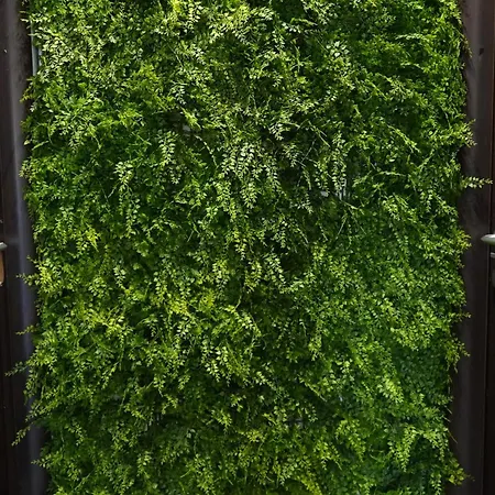Quattro Canti 200 Mt- Salvia Palermo
